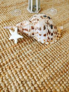 Leopard conch – photo 2