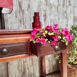 281546932 5051725761583323 6952920520760904927 n