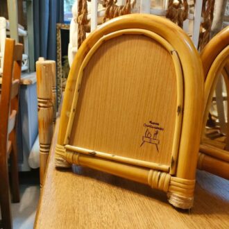 475738272 1401120431298909 4433834414946248500 n