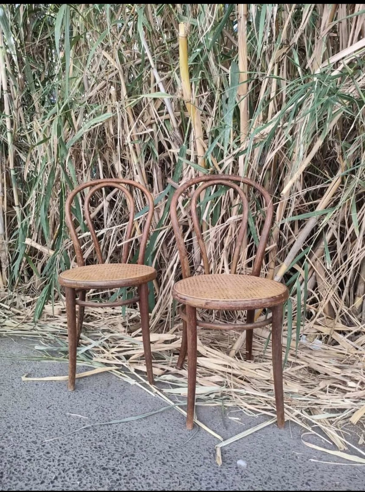 TONET ENEA CHAIRS 1 SILLAS TONET ENEA