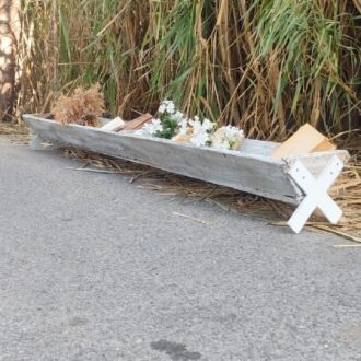 COMEDERO ANTIGUO DE AVES 8 1000424288