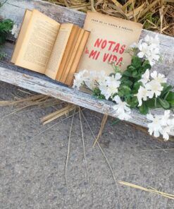 COMEDERO ANTIGUO DE AVES 7 1000424300