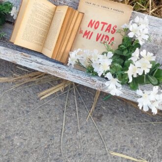 COMEDERO ANTIGUO DE AVES 7 1000424300