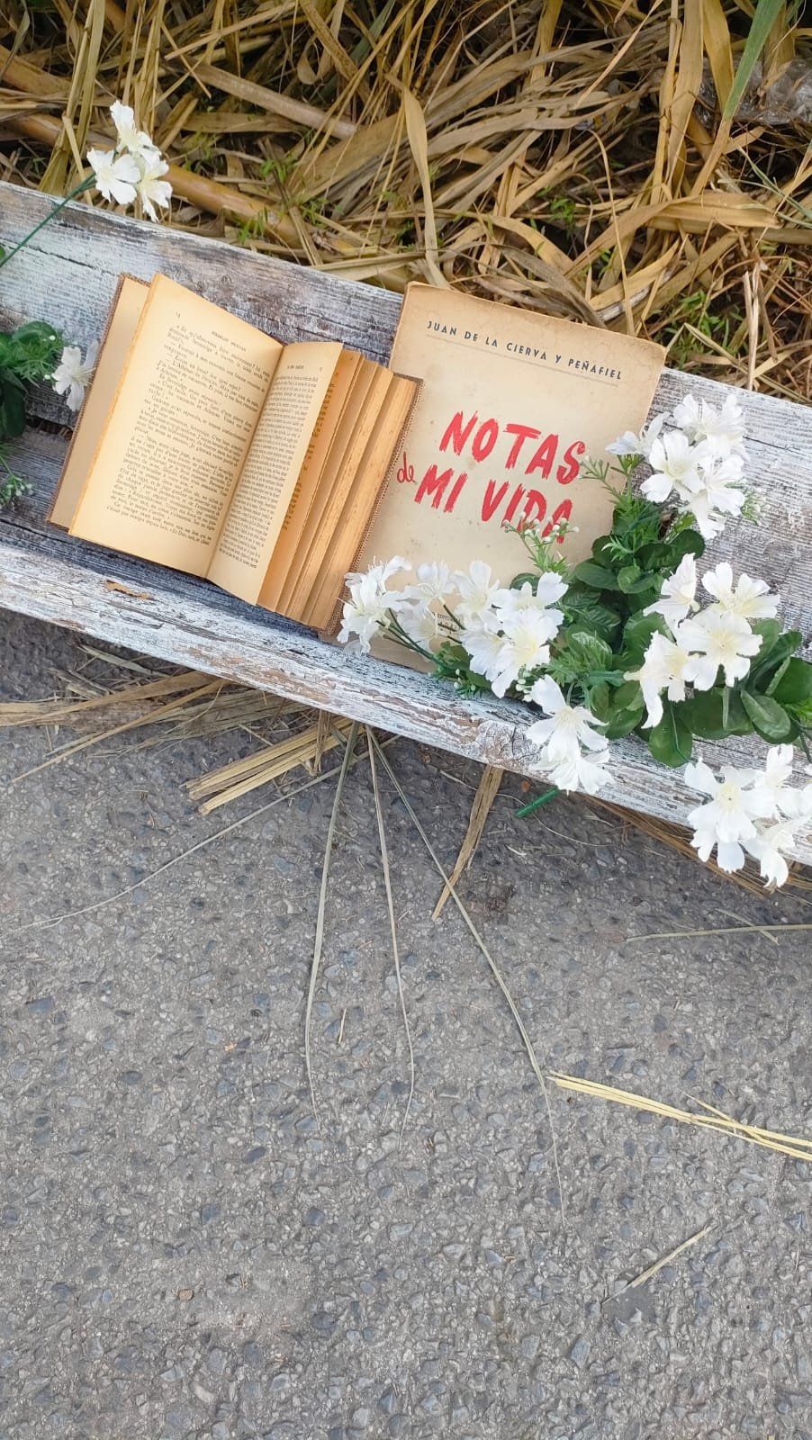 COMEDERO ANTIGUO DE AVES 2 COMEDERO ANTIGUO DE AVES - Imagen 2