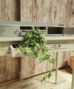 345266588 6442794395758951 5096996601387166536 n