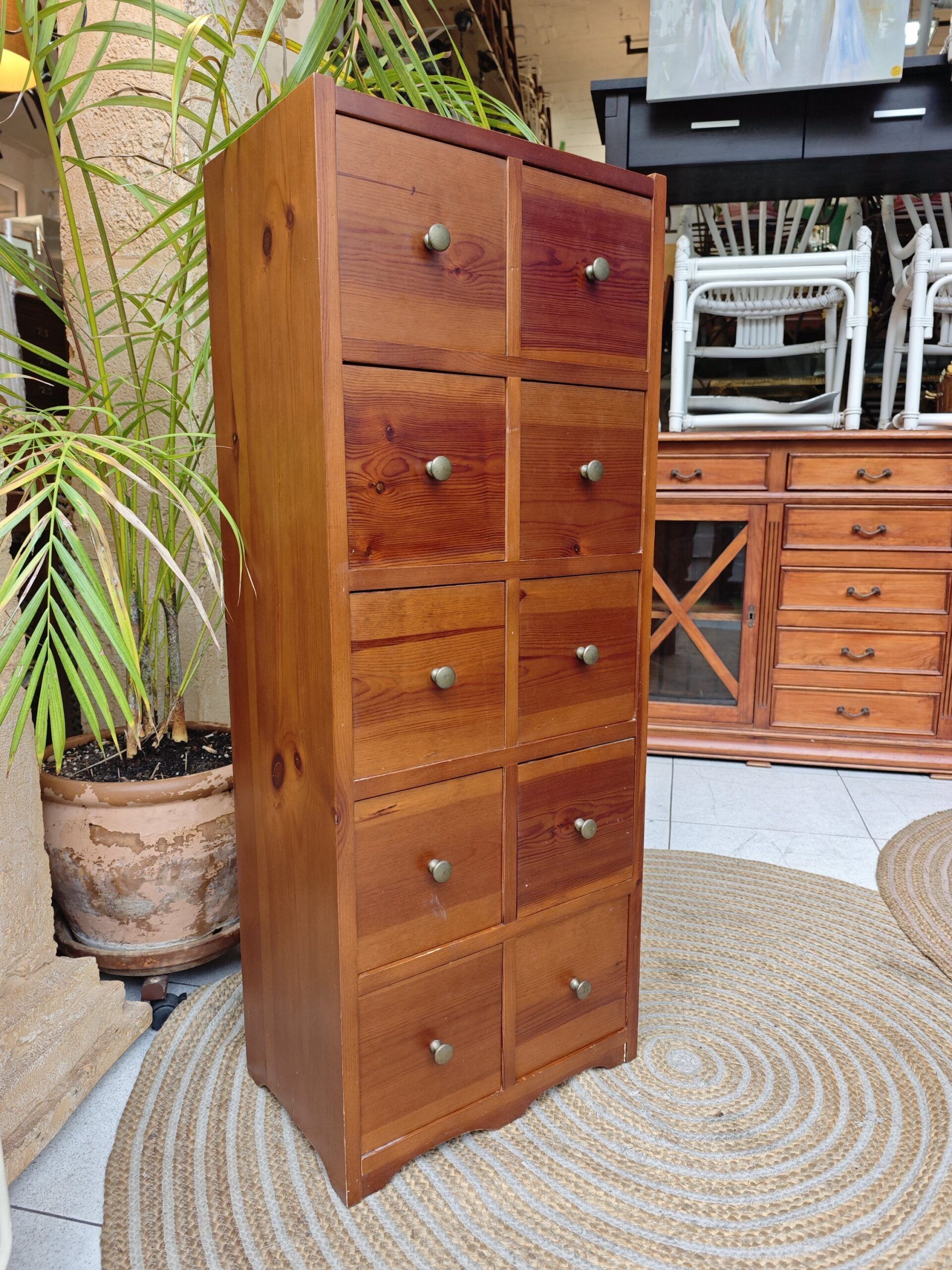 SINFONIER DE PINO 1 SINFONIER DE PINO