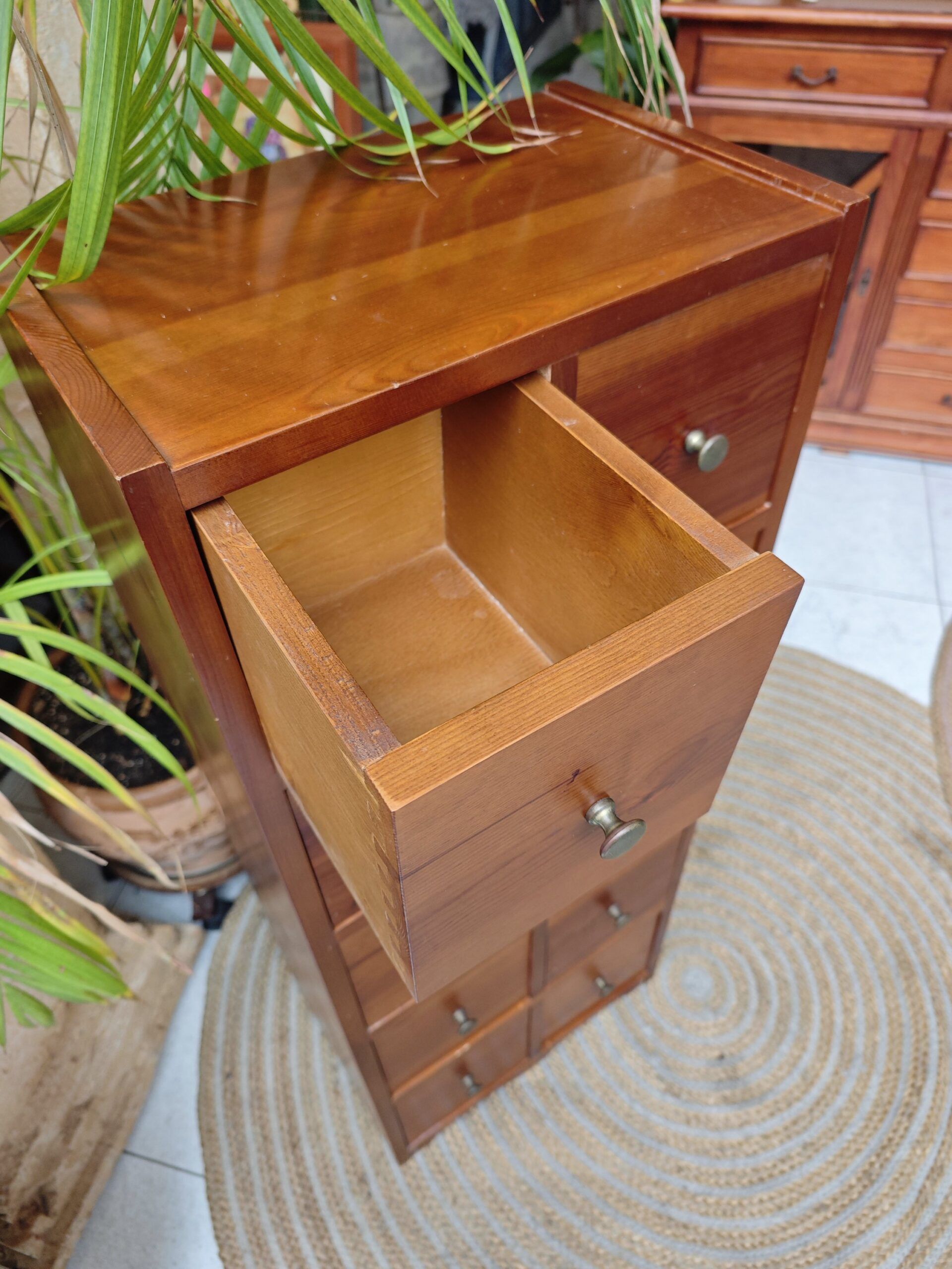 SINFONIER DE PINO 3 SINFONIER DE PINO - Imagen 3