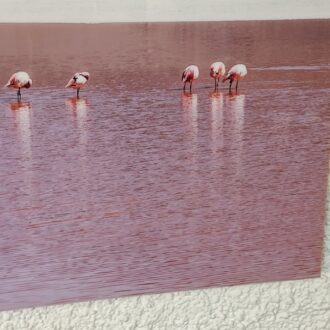 Fotografía artística Dierk Maass – LUMAS – Edición limitada firmada – 60×169 cm 7 1000451696 scaled