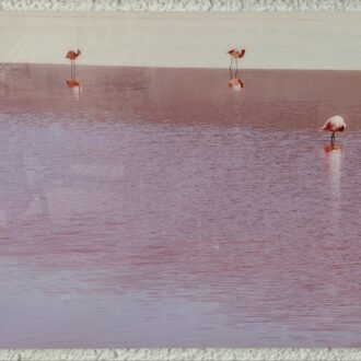 Fotografía artística Dierk Maass – LUMAS – Edición limitada firmada – 60×169 cm 9 1000451874 scaled