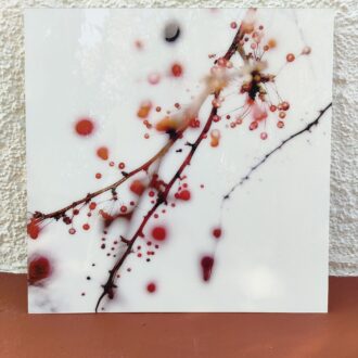 Fotografía artística - Galería Lumas 3 IMG20231220104151 1 scaled