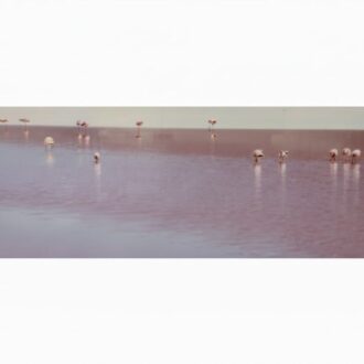 Obra original del fotógrafo contemporáneo Dierk Maass