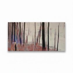 Sabine Wild Abstract Photography