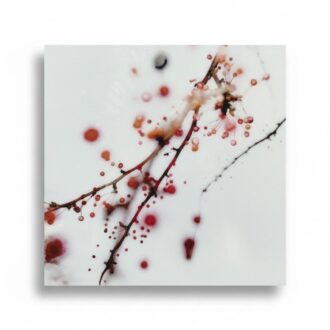 Fotografía artística - Galería Lumas